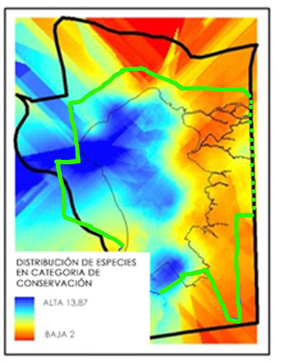 Distribución de Especies en Categoría de Conservación - U. Mayor