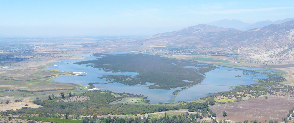 Humedal Laguna de Batuco