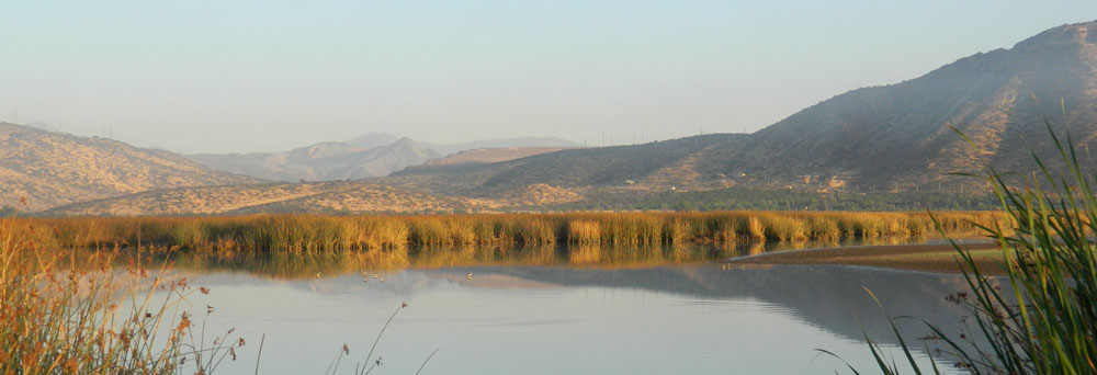 Humedal Laguna de Batuco