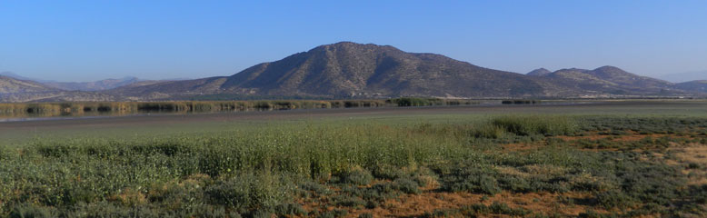 Humedal Laguna de Batuco